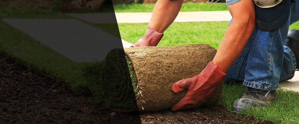 Pomeroy Landscapers
